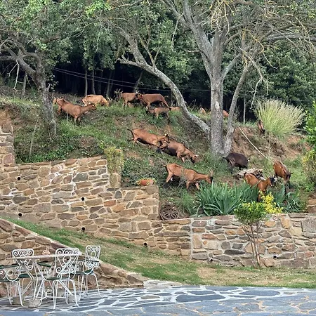 Cal Pages Holiday home Montseny